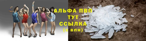 гашик Белокуриха