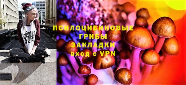 гашик Белокуриха