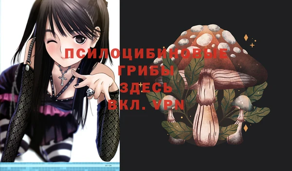 гашик Белокуриха